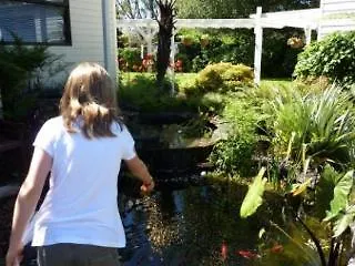 Mokoia Downs B&B Rotorua 5*,