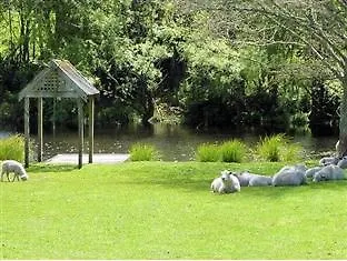 ***** Bed & Breakfast Mokoia Downs B&B Rotorua New Zealand