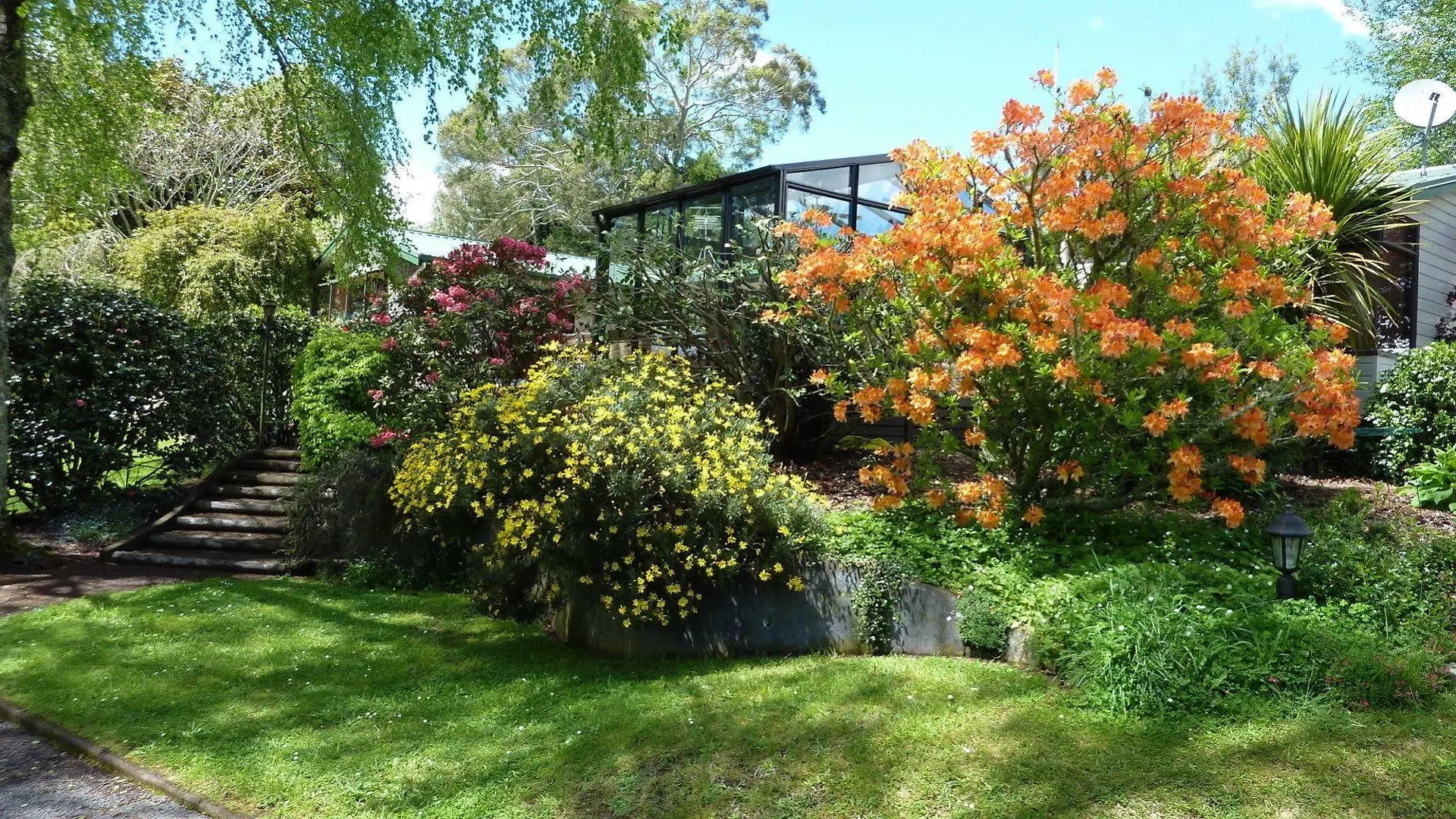 Mokoia Downs B&B Rotorua New Zealand