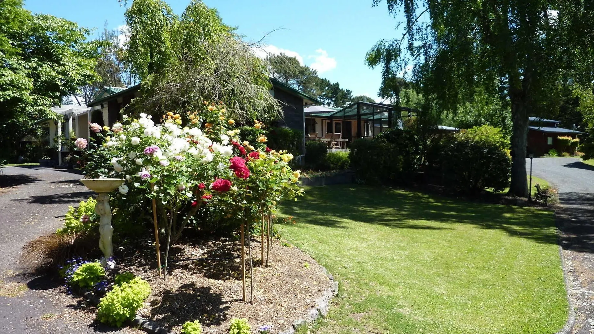 Mokoia Downs B&B Rotorua Bed & Breakfast